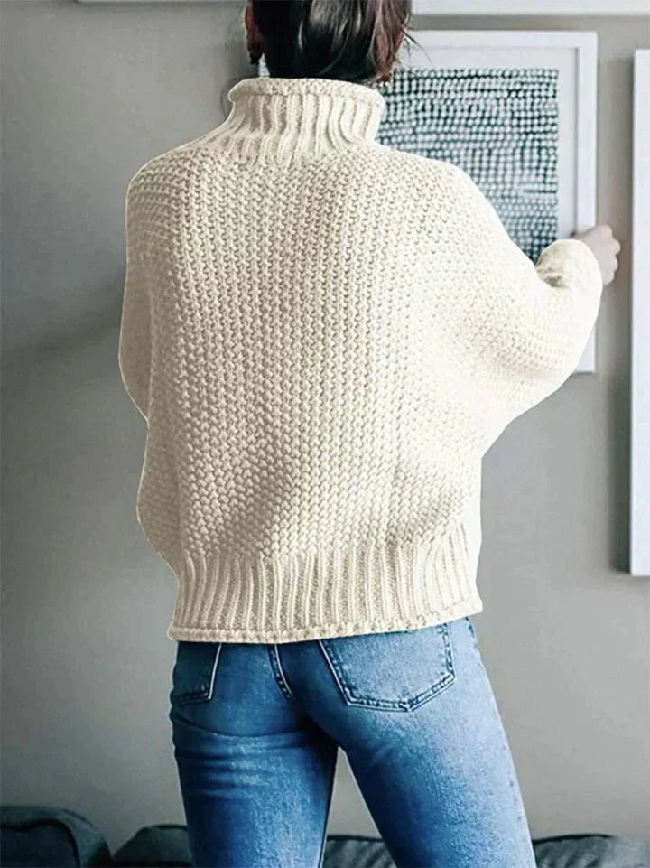 Pull Col Roulé Souple Coupe Épurée